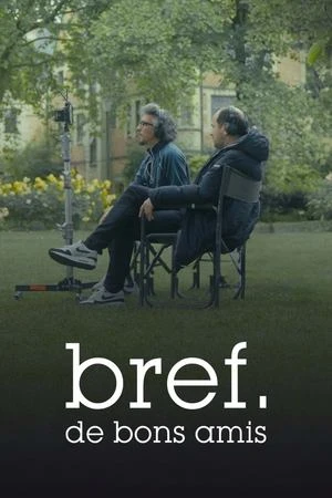 Regarder Bref. De bons amis en streaming complet
