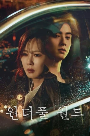  Wonderful World - Saison 1 affiche 