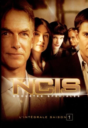  NCIS : Enquêtes spéciales - Saison 1 affiche 