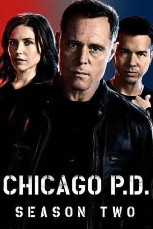  Chicago PD - Saison 2 affiche 