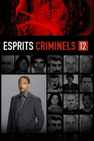  Esprits criminels - Saison 12 affiche 