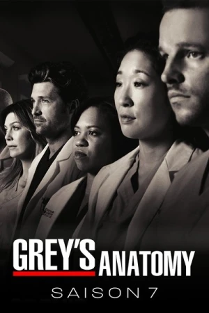  Grey's Anatomy - Saison 7 affiche 