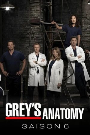  Grey's Anatomy - Saison 6 affiche 