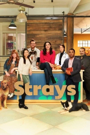  Strays - Saison 2 affiche 