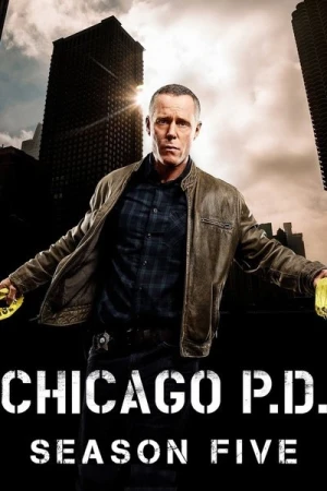  Chicago PD - Saison 5 affiche 