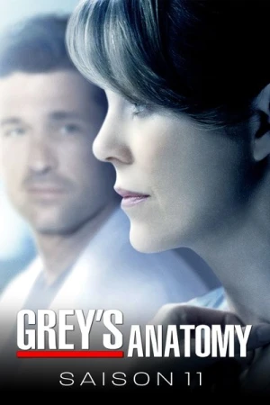  Grey's Anatomy - Saison 11 affiche 