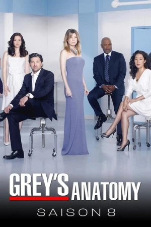  Grey's Anatomy - Saison 8 affiche 