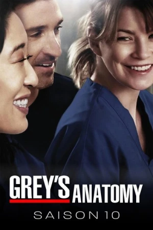  Grey's Anatomy - Saison 10 affiche 