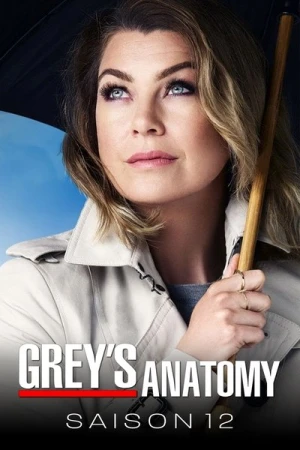  Grey's Anatomy - Saison 12 affiche 