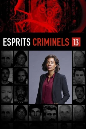  Esprits criminels - Saison 13 affiche 