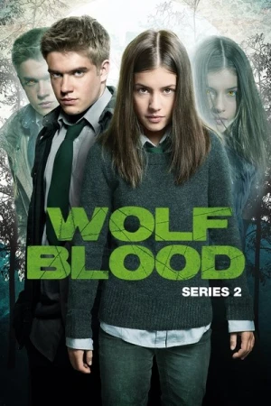  Wolfblood - Saison 2 affiche 