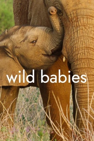  Wild Babies : Petits et Sauvages - Saison 1 affiche 