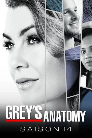  Grey's Anatomy - Saison 14 affiche 