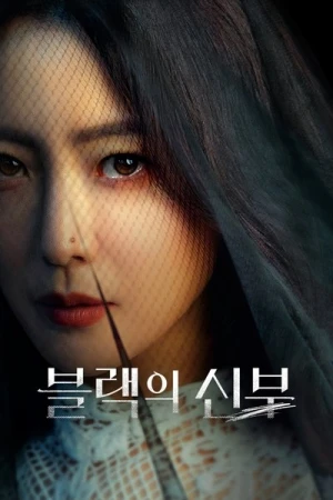  Remarriage & Desires - Saison 1 affiche 